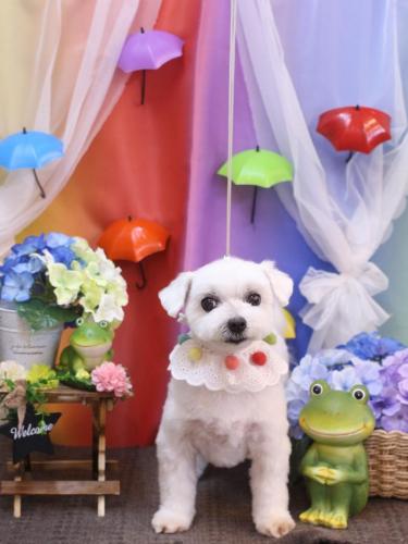 20230628うららちゃん